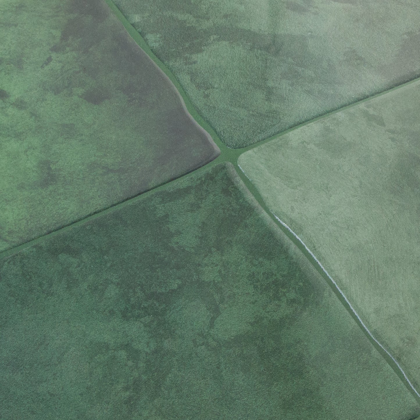 Grønt fliseklistermærke (mystic moss) set fra skrå vinkel - stickoramic