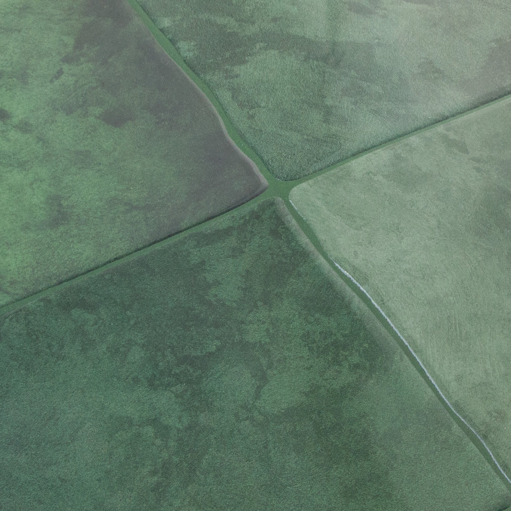 Grønt fliseklistermærke (mystic moss) set fra skrå vinkel - stickoramic